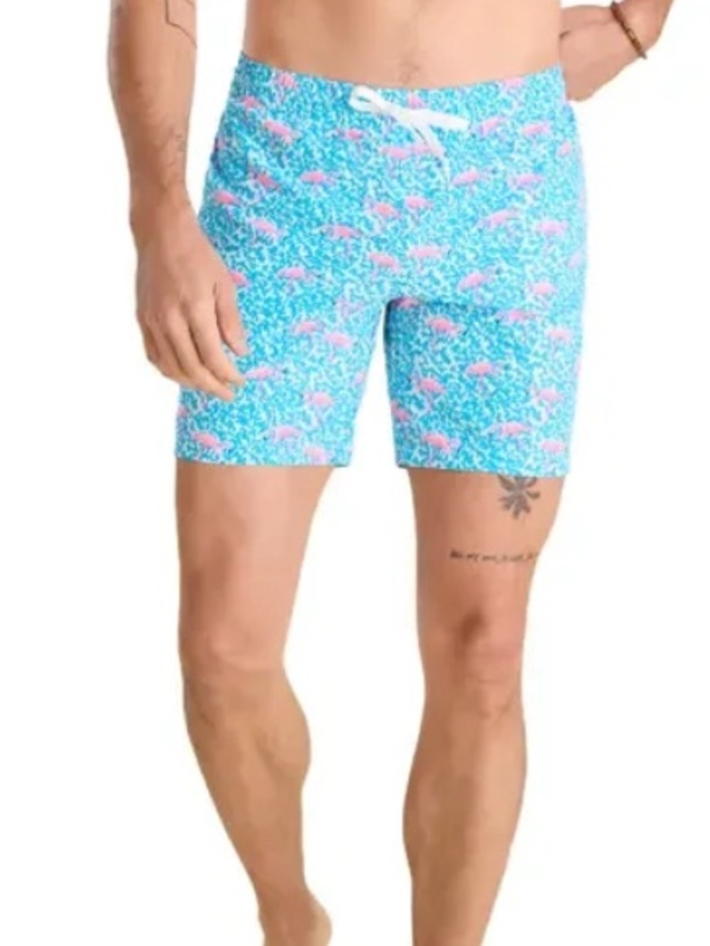 Chubbies Men's The Domingoes are for Flamingoes Swim Trunks